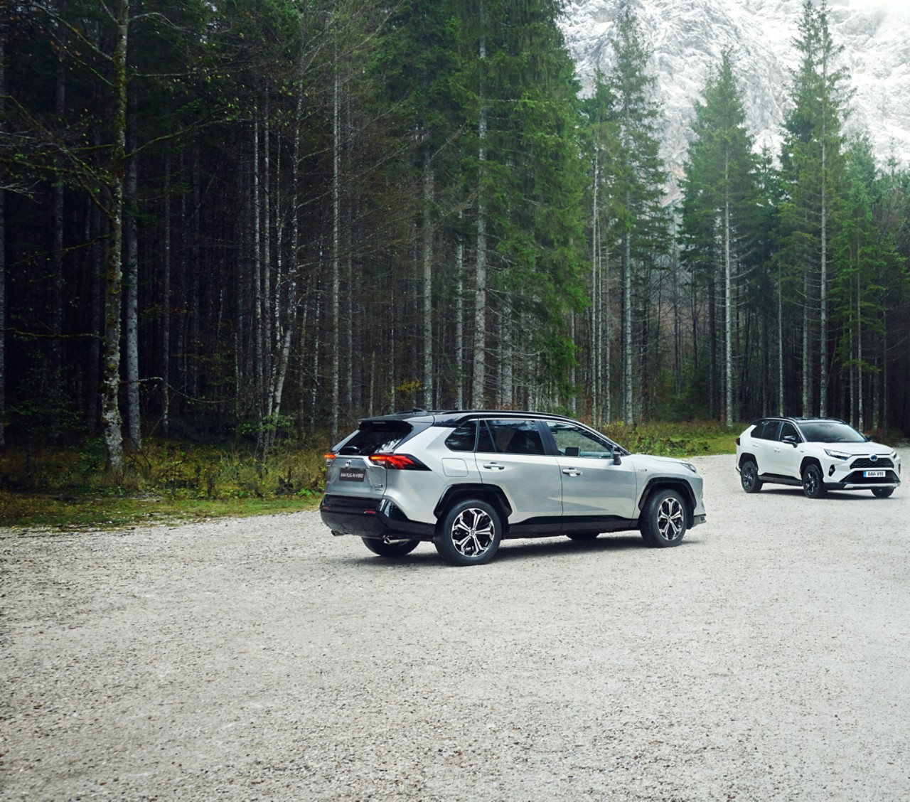 RAV4 Plug-in-hybrid privatleasing
