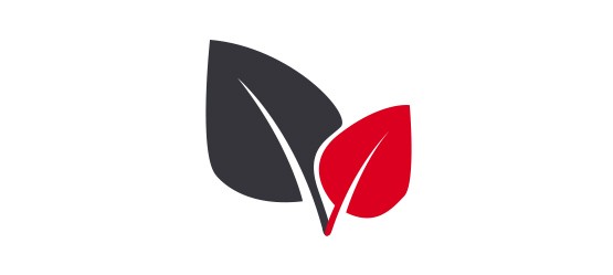 Toyota service