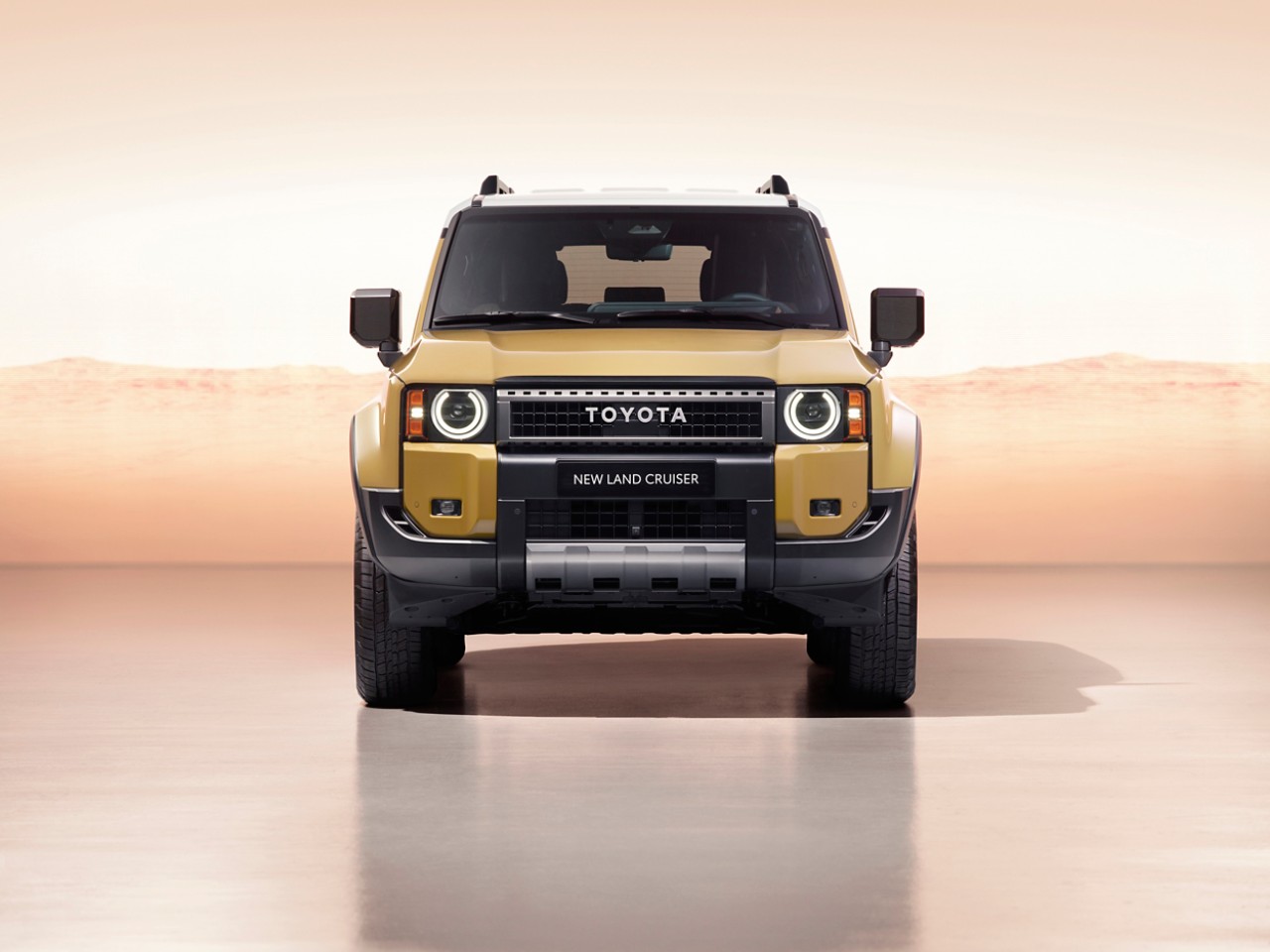 ny Land Cruiser